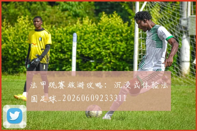 法甲观赛旅游攻略:沉浸式体验法国足球_20260609233311